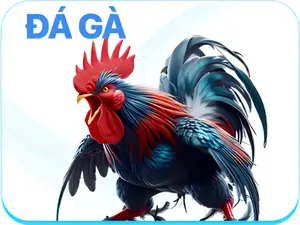 Đá gà trực tiếp LU88 với các trận đấu hấp dẫn mỗi ngày