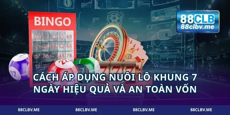 Cách áp dụng nuôi lô khung 7 ngày hiệu quả và an toàn vốn