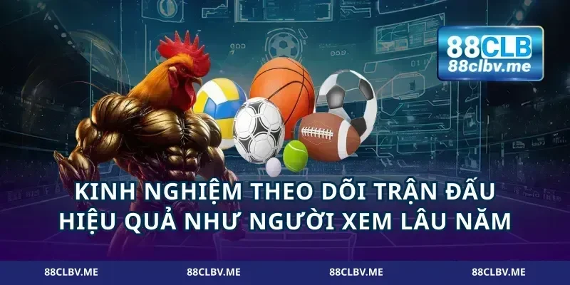 Kinh nghiệm theo dõi trận đấu hiệu quả như người xem lâu năm