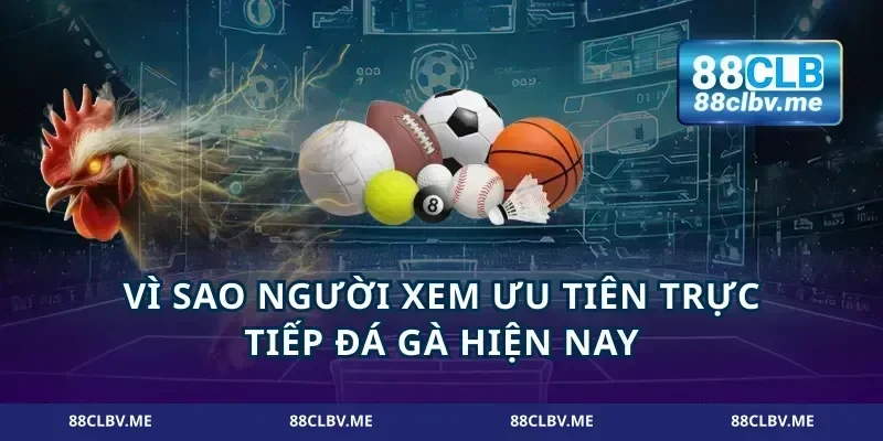 Vì sao người xem ưu tiên trực tiếp đá gà hiện nay